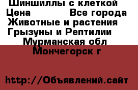 Шиншиллы с клеткой › Цена ­ 8 000 - Все города Животные и растения » Грызуны и Рептилии   . Мурманская обл.,Мончегорск г.